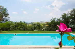 Premiere Apartments - Residenza Le Rose nel Chianti